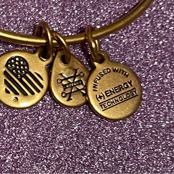 Alex & Ani “Partners”Walt Disney bracelet- New - Picture 4 of 4